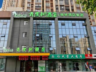 Vatica Hotel Hefei Yaohai Longgang Subway Station - Hefei - 5