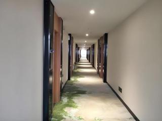 GreenTree Inn Xinxiang Fengqiu County Xingfu Road - Zhaogang - 7