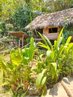 ecolodge khamu homestay guesthouse - Ban Pang Hat - 8