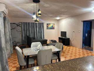 Raj's appartment 02 - Nadi - 8