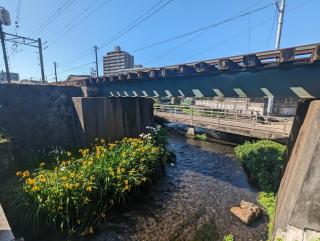 Guesthouse giwa - Vacation STAY 14269v - Mishima - 8