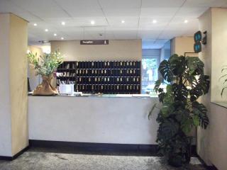 Residence Hotel Siloe - Milan - 1