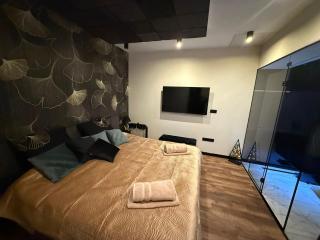 MONTANA Wellness Apartman - Biatorbágy - 6