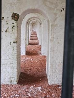 T Nest van Heeden - 5