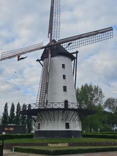 T Nest van Heeden - Menen - 7