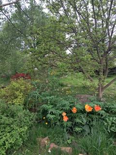 Przytulia Apartament Błękitny - 2