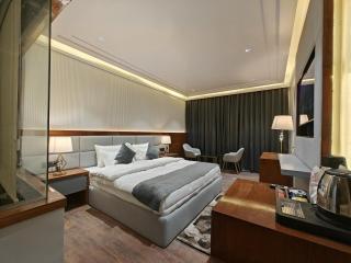 The Mirage Simla - 1