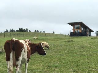 Tiny House Licarayén con Tinaja caliente - Puerto Varas - 3
