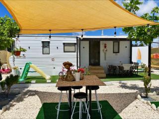 Nefeli's Dollhouse Caravan 3 minutes from Geroskipou Beach - Koloni - 9