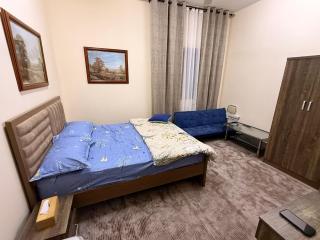 Premium Furnished studio - 9