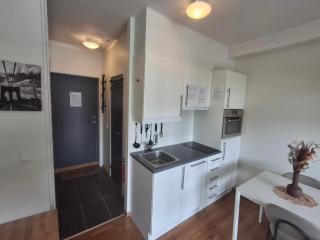 Leilighet på Oppheim, Voss - 1