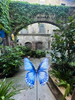 PapalePapale B&B - Viterbo - 9