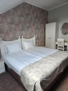 SUISSEPALM Hotel - Arad - 7
