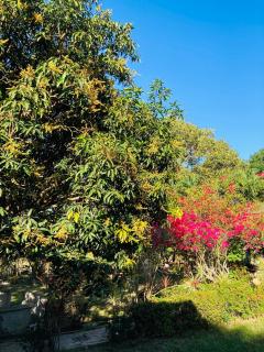 Middle bedroom, McKirdy's Farm - 1