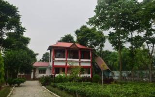 Resort Morning Glory - Lataguri - 3