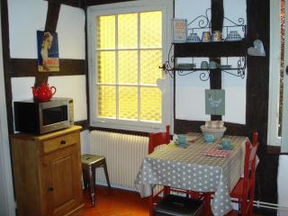 Gîte Au Fil Du Temps - Colmar - 1