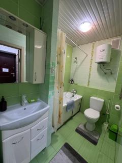 One-room apartment opposite Almaty Airport - 8