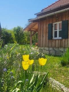 Tiszatardos Vendégházak - 1