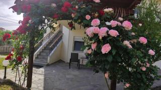 Chrysiis Apartments - Nikiti - 1