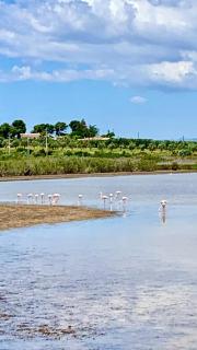Villetta FlamingoBeach Morghella - 9