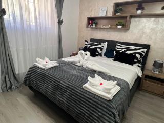 Studio Anca-old town Sibiu - Sibiu - 9