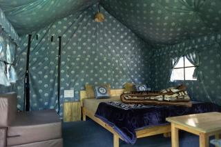 The tented tribe - Dharamshala - 7