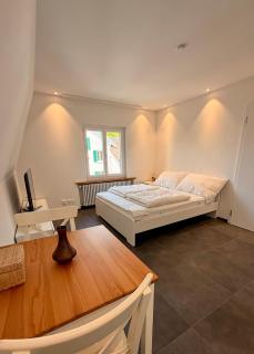 Max Apartments - Schaffhausen - 0