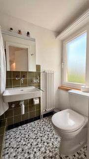 Max Apartments - Schaffhausen - 8