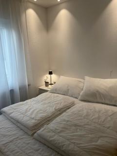 Max Apartments - Schaffhausen - 1
