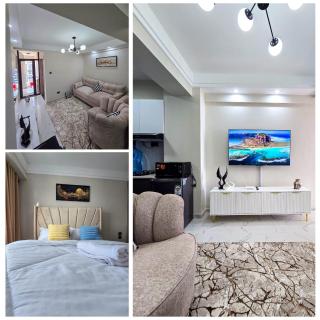 Luxury 1 Bedroom Furnished Apartments In Kilimani - Nairobi - 4