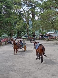 Berastagi Mountain View Homestay & Pizzeria - 4