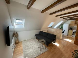 Luxury 2 bedroom apartment - Horsens - 8