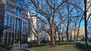 Siena Haven - Urban Suite - 7