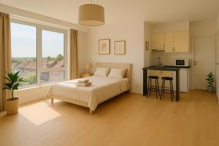 Lumineux flat - Louise - Bruxelles - 2