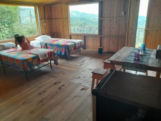 Econative Baru - Platanillo - 6