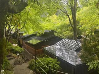 山川温泉 小杉庵 - Oguni - 7