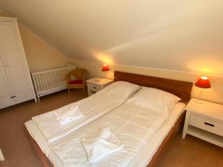 Ferienhaus Mein Panama - Zingst - 3