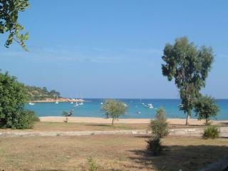 Dario's Oasis - Àrbatax - 7