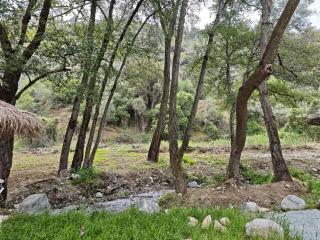 River Glamping Kalopanayiotis - Kalopanayiotis - 3
