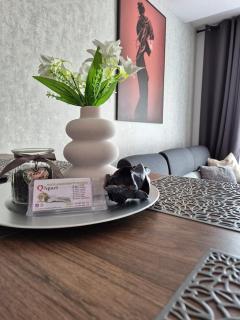 Q Apart PL ,klimatyzowane 2, 3 pokojowe apartamenty przy Manufakturze z garażem Gratis, FV - Łódź - 4