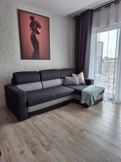 Q Apart PL 2 lub 3 pokojowe klimatyzowane apartamenty przy Manufakturze z garażem Gratis, FV - 3