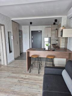 Q Apart PL ,klimatyzowane 2, 3 pokojowe apartamenty przy Manufakturze z garażem Gratis, FV - Łódź - 9