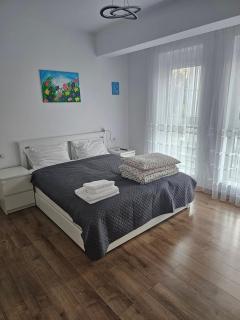 Ana Residence - Timişoara - 6