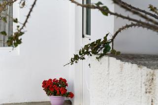 Naxos Kastraki Beauty flat villa - Kastraki - 2