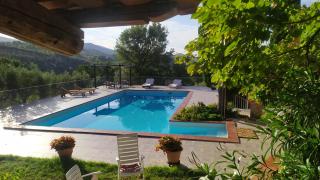 Orsola - Vigne - 0