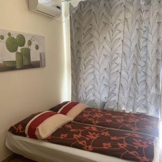 Deluxe Penthouse Apartman - 8