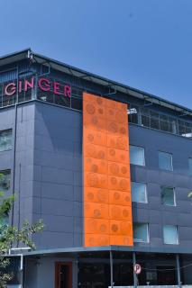 Ginger Vadodara RCR - Vadodara - 8