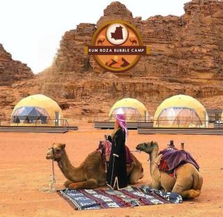RUM ROZA BUBBlE LUXURY CAMP - Wadi Rum - 4