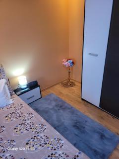 Casa OPRIȚA - Hobiţa Grădişte - 3