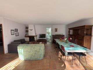 Villa avec grand terrain entouré de pins idéal pour les amoureux de la nature - La Tranche-sur-Mer - 4